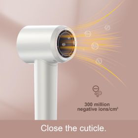 Gray Hair Dryer (Option: Gray)